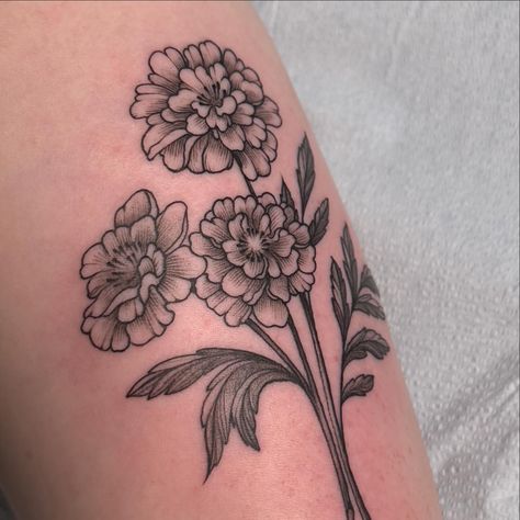 Custom marigolds with some cute little cut stems 🌟 * * * * #tattoo #tattooartist #tattooideas #blackworktattoo #blackworktattooartist #blackworktattoos #lineworktattoo #lineworktattoos #chicagotattooartist #chicagotattoo #flashtattoo Marigold Flower Tattoo Black And White, Marigold Tattoos, Flower Tattoo Black And White, Marigold Flower Tattoo, Flower Tattoo Black, Marigold Tattoo, Tattoo Black And White, Chicago Tattoo, Marigold Flower