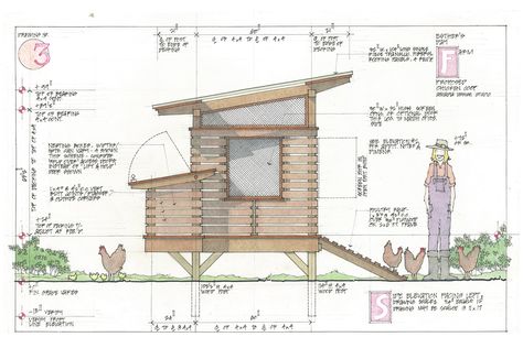 Chicken Coop Architecture, Chicken Coop Drawing, Draw A Chicken, Small Chicken Coop, Chook Pen, Construction Drawing, Hand Sketches, Farm Building, Small Chicken Coops