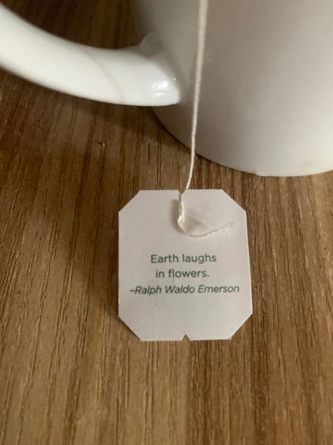 The Earth laughs in flowers quote label tea Tea Quotes Aesthetic, Tea Bag Aesthetic, Cottagecore Tea, Leaf Quotes, The Earth Laughs In Flowers, Earth Laughs In Flowers, Spearmint Tea, Tea Health, Different Types Of Tea