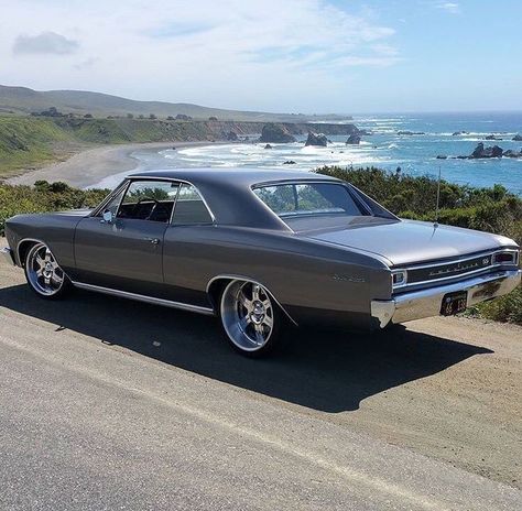 66 Chevelle Ss, Civic Sir, 66 Chevelle, 1967 Chevelle, Chevy Chevelle Ss, Chevrolet Chevelle Ss, Chevy Muscle Cars, Classic Cars Trucks Hot Rods, Chevy Chevelle