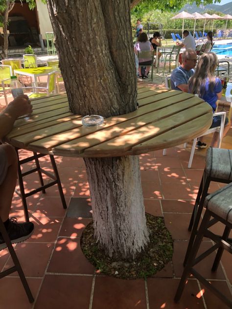 Picnic Table Around Tree, Tree Sitting Area, Porch Around Tree, Sitting Area Around Tree, Seating Around Tree, Tranquil Garden Ideas, Patio Around Tree, Bar Around Tree, Sitting Area Under Tree