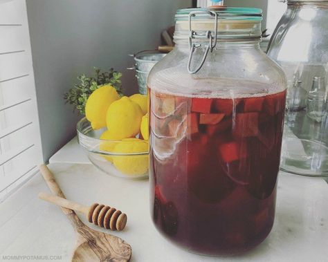 Easy Beet Kvass Recipe Kvass Recipe, Beet Kvass, Fermenting Jars, Beet Chips, Fresh Beets, Fermentation Recipes, Beneficial Bacteria, Fermenting, Fermented Foods