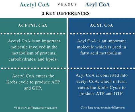 Whatever the differences you want to know, be it about two people, two places, two products, two concepts, two technologies or whatever it is, we have the answer. We have a very wide collection of information, that are diverse, unbiased and freely available. Lipid Metabolism, Toyota Camry 2014, Acetyl Coa, Krebs Cycle, Functional Group, Biochemistry, High Energy, Two People, Toyota Camry