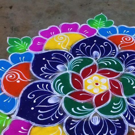 Tulsi Colour Painting, Free Hand Big Rangoli Designs, Unique Rangoli Designs Beautiful Peacock, Mugulu Designs Latest With Colours, Rangoli Design For Diwali Latest, Colorful Rangoli Designs For Diwali, Rangoli Kolam Designs Festivals, Color Kolam Rangoli Designs, Colour Kolam Design