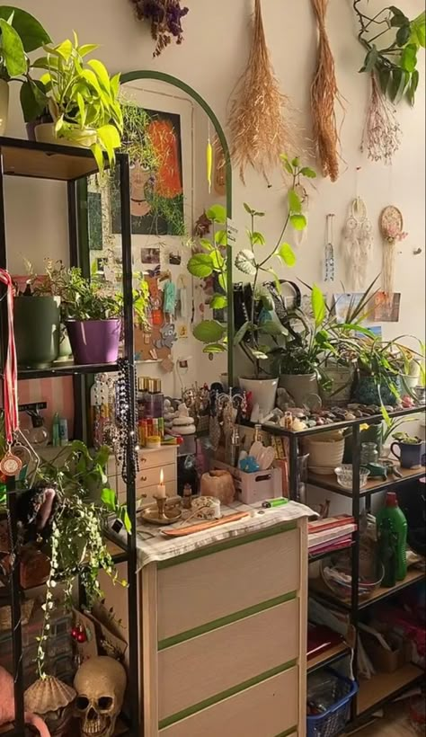 Plant Arrangement Ideas, Plant Bedroom Aesthetic, Punk Bedroom, Plant Aesthetics, Home Greenery, Houseplant Decor, Kitchen Cabinet Style, Plant Styling, Cabinet Style