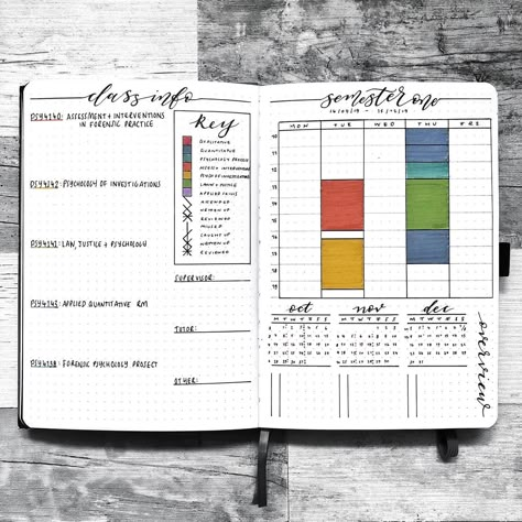 Nanowrimo Bullet Journal, Bullet Journal Yearly Spread, School Bujo, Student Bullet Journal, College Bullet Journal, Bullet Journal Goals Page, Bullet Journal Yearly, School Bullet Journal, 2023 Bullet Journal