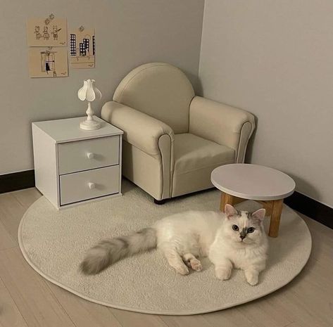 Cat Bowl Aesthetic, Cat Aesthetic Room Decor, Aesthetic Cat Room, Cat Area Ideas, Stylish Cat Furniture, Aesthetic Cat Decor, Cat Stuff, Cat Apartment, Cat Room Decor