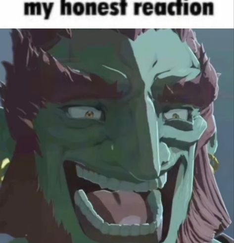 Totk Ganondorf, Legend Of Zelda Halloween, Link X Ganondorf, Gerudo Link, My Honest Reaction, Legend Of Zelda Memes, Zelda Funny, Honest Reaction, Ben Drowned