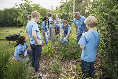 Discover Christian environmental organizations that help us understand the importance of environmental stewardship. World Environment Day Activities, Environment Day Activities, Volunteering Ideas, Job Manifestation, Ideal Lifestyle, Environmental Studies, Environment Day, World Environment Day, Environmental Education