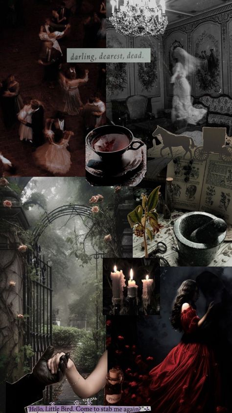 Book Belladonna Adalyn Grace Books, Veronica Speedwell Stoker Fan Art, Veronica Speedwell Book, Belladonna Book Fanart, Belladonna Book Aesthetic, Belladonna Aesthetic, Atropa Belladona, Belladonna Fanart, Belladonna Book