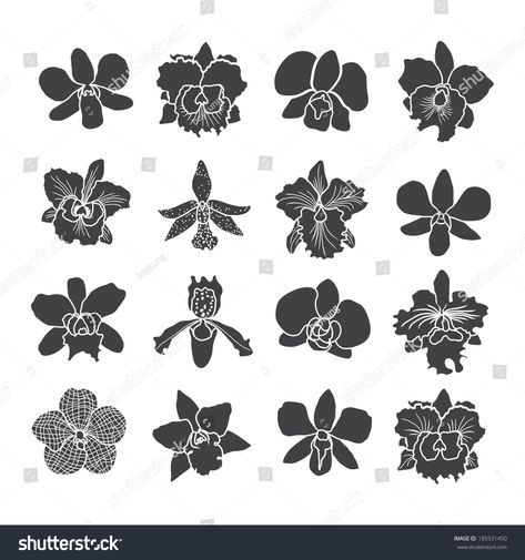 Orchid Vector, Orchid Illustration, Orchid Drawing, A Level Art Sketchbook, Flower Symbol, Silhouette Template, Flowers Vector, Flower Icons, Orchid Flowers