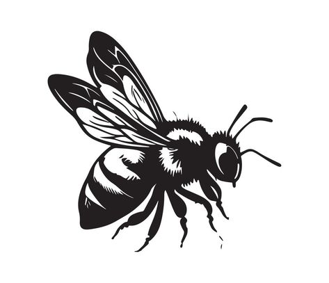 Honey Bee icon, honey bee silhouette Honey Bee Silhouette, Honey Bee Outline, Honey Bee Line Art, Honey Bee Illustration Design, Honey Bee Svg Free, Honey Bee Clipart Black And White, Bee Vector, Bee Silhouette, Bee Icon