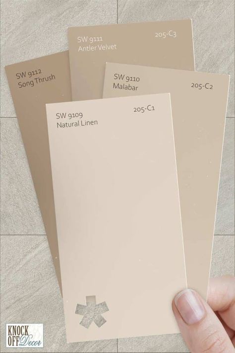 Sherwin Williams Mocha Paint, Neutral Bright Paint Colors, Sw 6085 Simplify Beige, Beige Paint Palette, Driftscape Tan Paint, Sherwin Williams Sackcloth, Light Khaki Paint Color, Linen Colored Walls, She Twin Williams Natural Linen