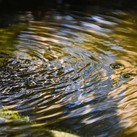 Garden pond ripples  by Stephen Viszlai Pond Ripples, Ripples In Water, Art Time, Water Pond, Elements And Principles, Abstract Pattern Design, Space Backgrounds, Water Ripples, Garden Pond