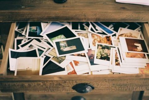 Terrence Loves You, Frühling Wallpaper, All The Bright Places, Polaroid Wall, Photo Polaroid, Fotografi Vintage, My Workspace, Lily Evans, Virginia Woolf