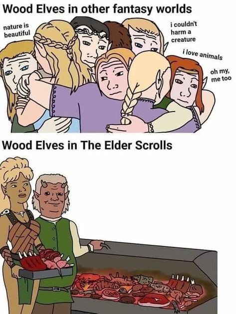 The best Elves memes :) Memedroid Elder Scrolls Elves, Elder Scrolls Wood Elf, Elf Meme, Elf Memes, Elder Scrolls Memes, Skyrim Funny, Elder Scrolls Lore, Elder Scrolls Games, Skyrim Art