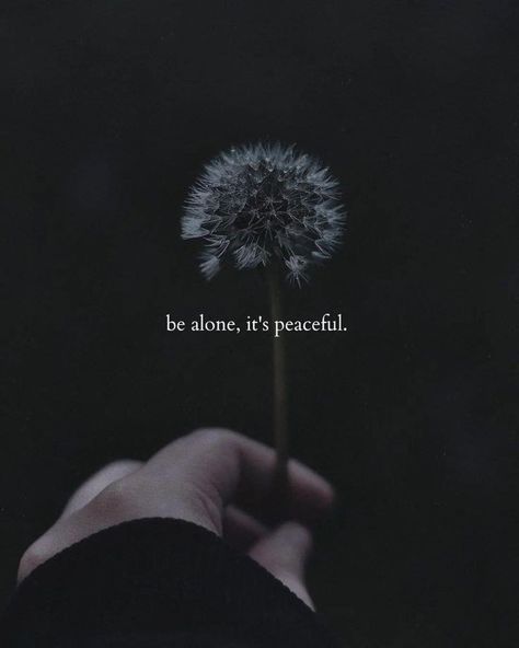 Dp Pic, The Garden Of Words, Photos Wallpaper, Wallpaper 2023, Happy Alone, Better Alone, Dp Images, Think Positive, Postive Life Quotes