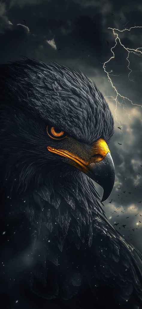 Wallpaper Pc 1920x1080, Full Hd 4k, For Desktop, Wallpaper Pc, Full Hd, Eagles, The Sky, Birds, Laptop