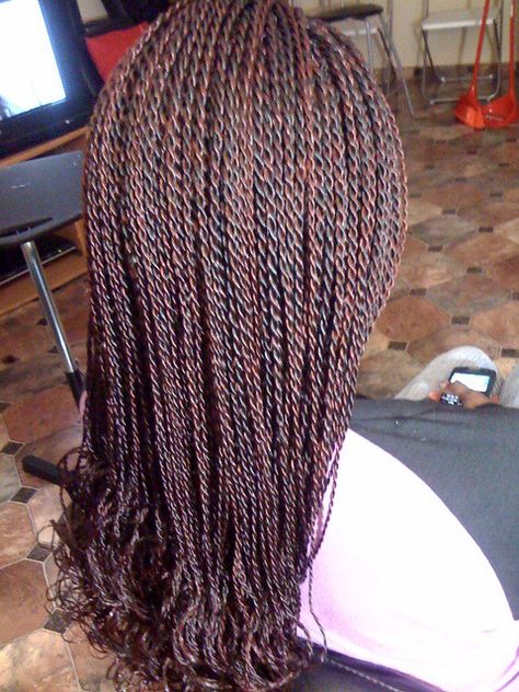 senegalese twists | Eleanor | Flickr Sengalese Twists Highlights, Color Senegalese Twist, Brown Sengelese Twist, Senaglese Twist Braid, Extra Small Senegalese Twist, Senegalese Twist Styles, Senegalese Twist Hairstyles, Bob Braids Hairstyles, Flat Twist Updo