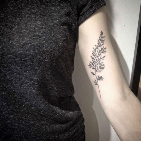 Love the shape of this... maybe shaped like this but with lilacs? Plant Tattoo Placement, Feminine Bicep Tattoo, Inner Upper Arm Tattoos For Women, Inner Bicep Tattoos For Women, Inner Bicep Tattoo Women, 25 Tattoo, Tattoo Bicep, Bicep Tattoo Women, Inner Elbow Tattoos