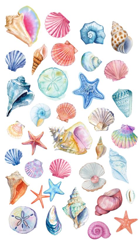 Sea Shells Wallpaper, Beach Wall Collage, Coastal Wallpaper, Sea Illustration, Desain Quilling, Cute Summer Wallpapers, Sea Life Art, Scrapbook Printing, Wallpaper Disney