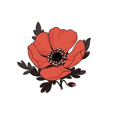 Red Anemone flower pattern anemone poppy. | free image by rawpixel.com / Nutthone Poppy Flowers Drawings, Anemone Flower Drawing, Poppy Illustration, Rosé Cartoon, Red Anemone, White Poppy, Poppy Design, Anemone Flower, Plant Pattern