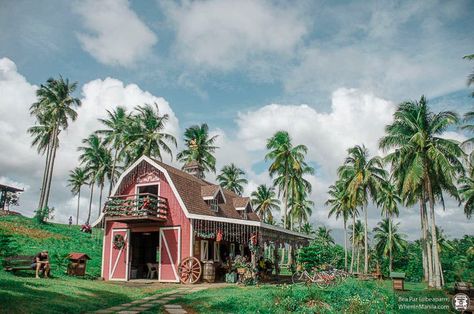 FarmPlate_Bicol_HQ_27 Bicol Philippines, A Peaceful Place, Atv Riding, Night Sky Photography, Some Nights, Peaceful Place, Peaceful Places, Camping Experience, Stay The Night