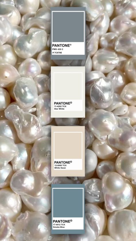 Pearl Colour Palette, White Silver Color Palette, Silver Color Palette, College Work, Colour Palettes, Event Planner, Colour Palette, Case Study, Color Palettes