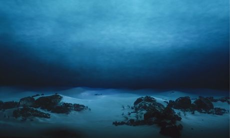 Underwater terrain. The prospect of a race to the bottom of the ocean has alarmed scientists. Article ** Bottom Of The Ocean Drawing, Bottom Of Ocean, Underwater Ruins Concept Art, Ocean Bottom Underwater, Underwater Ruins Art, Deep Sea Mining, Concept Wall, Abandoned Underwater, The Bottom Of The Ocean