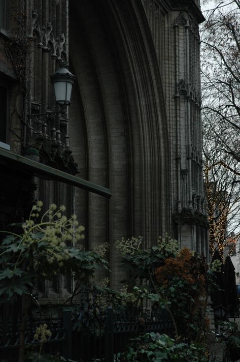 Dark Green School Aesthetic, Dark Academia Botanical, Tropical Dark Academia, Dark Academia Green Aesthetic, Earth Academia, Dark Academia Plants, Dark Academia Aesthetic Green, Dark Green Academia Aesthetic, Dark Academia Architecture