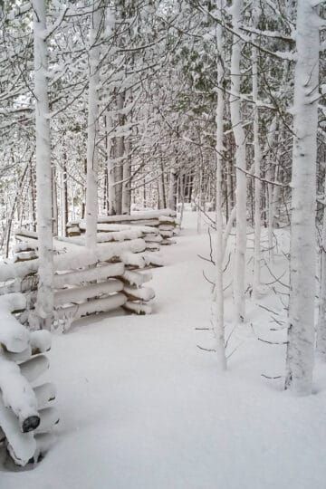 Snow Fence Ideas, Snow Fence, Split Rail Fence, Rustic Ideas, Rail Fence, Dog Fence, Privacy Screen, Wood Blocks, Fencing