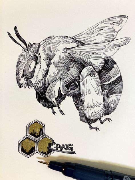 Animal Pen Sketch, Kang Meng, Crazy Doodles, Bumblebee Drawing, Marker Ideas, Mc Logo, Bugs Drawing, Wildlife Illustration, Desenho Tattoo