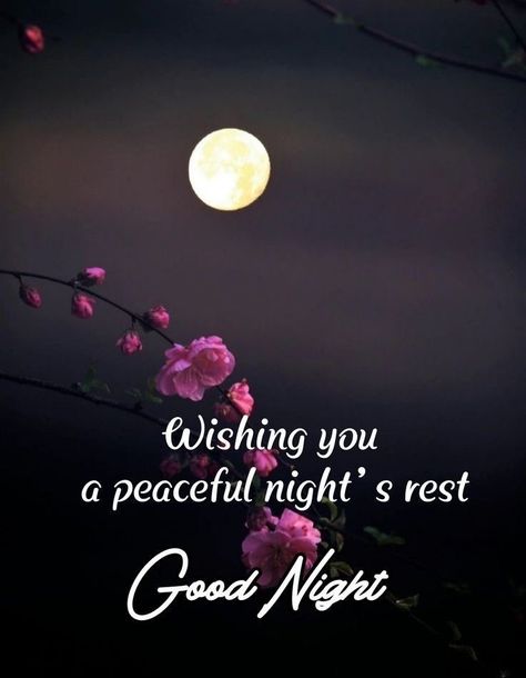 Good Night For Him, Good Night Blessings Quotes, Goodnight Quotes Inspirational, Goodnight Wishes, Evening Quotes, Beautiful Good Night Quotes, Good Night Wallpaper, Good Morning Happy Monday, Good Night Everyone