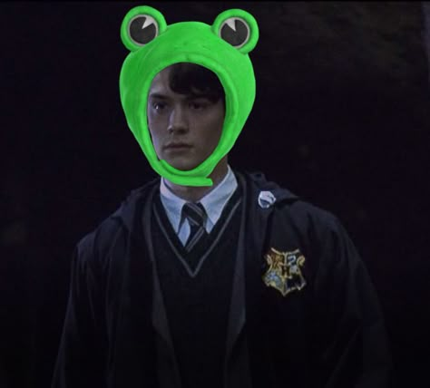 Tom Riddle Meme, Tom Riddle Funny, Tom Riddle Icon, Harry Potter Curses, Riddle Harry Potter, Slytherin Funny, Young Tom Riddle, Christian Coulson, Slytherin Gang