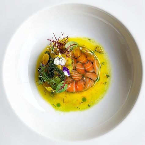 WORLD GASTRONOMY NEWS CHANNEL on Instagram: “@kcookdesign Seaweed cured salmon, mixed seaweed and orange salad, citrus dressing. . STAY UPDATED ON THE LATEST TRENDS, FOLLOW US! 📳 .…” Salad Citrus, Quinoa Salmon, Salmon Quinoa, Cured Salmon, Plating Ideas, Citrus Dressing, Orange Salad, Salmon Salad, Fancy Food