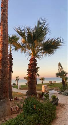 Photo Ete Aesthetic, Tunisia Wallpaper, Sunrise Aesthetic Wallpaper, Tunisia Holiday, Tunisia Aesthetic, Mediterranean Summer Aesthetic, Summer Snapchat, Tunisian Aesthetic, Aesthetic Wallpaper Summer