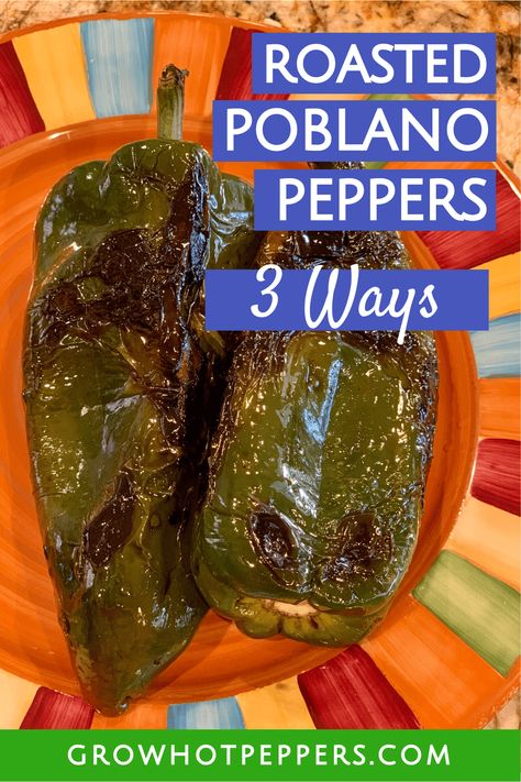 Here are 3 easy ways to roast your Poblano peppers (don't forget to grab your download!). Plus, learn about chile Poblano heat and flavor, get recipe ideas, and discover how to grow these peppers too! Growing Hot Pepper, Cooking Peppers, Cubanelle Pepper, Poblano Peppers Recipes, Freezing Peppers, Roasted Poblano Peppers, Roasted Poblano, Stuffed Anaheim Peppers, Chile Poblano