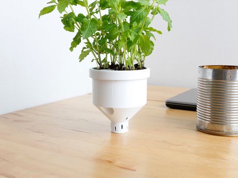 Campbell Planter - Fully 3D Printed Self-Watering Planter : 3 Steps (with Pictures) - Instructables Types Of Waste, 3d Printing Diy, Leafy Plants, 3d Printing Projects, Digital Fabrication, Self Watering Planter, Garden Path, Small Places, No Waste