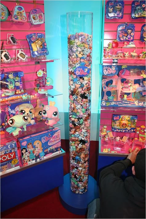 Littlest Pet Shop Show, Custom Lps, 2010s Nostalgia, Littlest Pet Shops, Lps Toys, Little Pet Shop Toys, Lps Pets, Lps Littlest Pet Shop, Nostalgic Toys