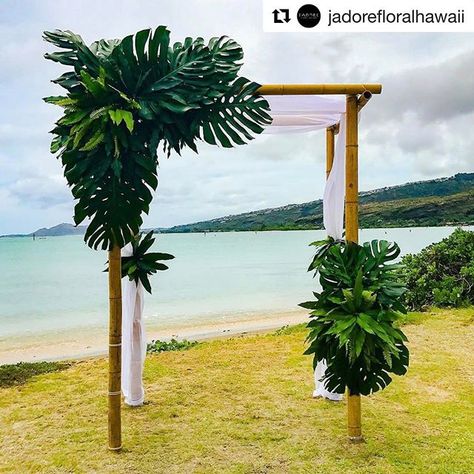 4 Post Bamboo Arch with Palm Leaves and White Draping Bamboo Backdrop, Bamboo Wedding Arch, Bamboo Arch, Wedding Alter, Moana Cake, Arch Inspiration, Wedding Alters, Exotic Wedding, Tropical Beach Wedding