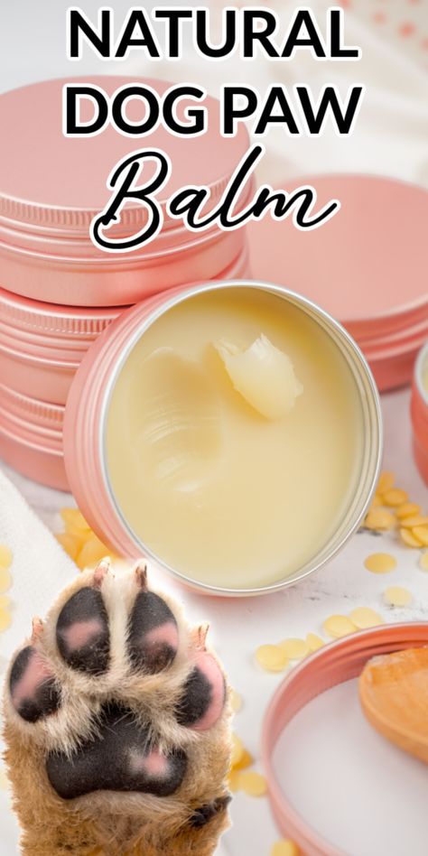 The Best Natural Dog Paw Balm Dog Paw Balm Recipe, Dog Paw Balm Diy, Dog Treat, Diy Dog Paw Balm, Diy Paw Balm For Dogs, Homemade Dog Paw Balm, Homemade Paw Balm For Dogs, Paw Balm For Dogs Diy, Diy Dog Balm For Paws