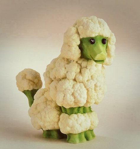 Cauliflower - French poodle Dog Veggie Display, Watermelon Dog, Vegetable Crafts, Fruit Carvings, Deco Fruit, Watermelon Decor, Cauliflower Dishes, Watermelon Art, Decorações Com Comidas