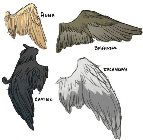 Angel Wings Drawing Reference, Supernatural Angel Wings, Wings Drawing Reference, Castiel Wings, Arc Angel, Aesthetic Doodles, Castiel Angel, Supernatural Fanart, Supernatural Drawings