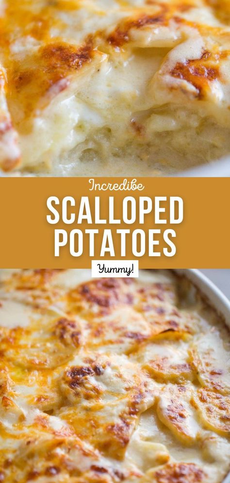 Warm, creamy, cheesy and oh so comforting, these Scalloped Potatoes really are the best! Recipe For Scalloped Potatoes, Creamy Cheesy Potatoes, Creamy Scalloped Potatoes, Scalloped Potatoes Easy, Scalloped Potatoes Recipe, Cheesy Scalloped Potatoes, Scalloped Potatoes And Ham, Scalloped Potatoes Cheesy, Fast Dinner Recipes