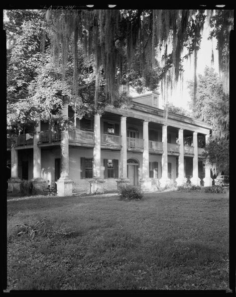 Photos Of Louisiana From 100 Years Ago Older Houses, Old Southern Plantations, Vintage Louisiana, Old Southern Homes, Abandoned Plantations, Residence Architecture, Louisiana Plantations, Antebellum South, Marie Laveau