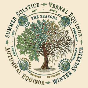 http://www.northernsun.com/The-Seasons-Organic-T-Shirt-%288099%29.html Winter Equinox, Solstice And Equinox, Vernal Equinox, Autumnal Equinox, The Ancient One, Summer Solstice, Winter Solstice, Chalk Art, Changing Seasons