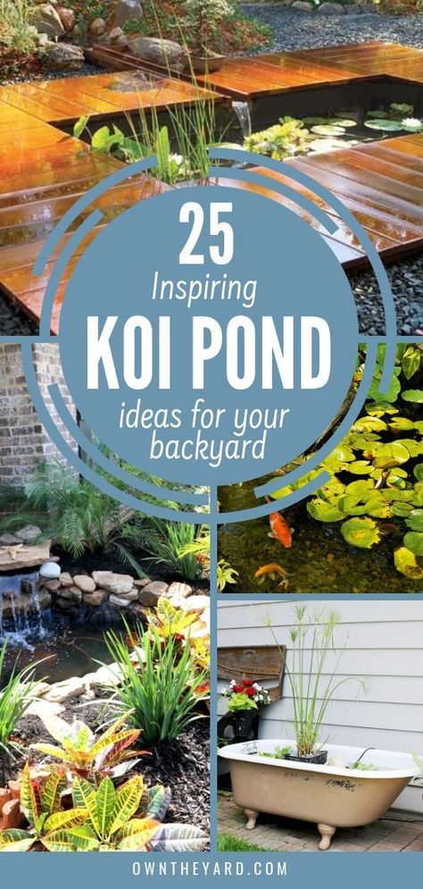 Koi Pond Ideas, Koi Pond Backyard, Koi Pond Design, Fish Pond Gardens, Patio Pond, Building A Pond, Outdoor Fountains, Garden Pond Design, Diy Pond