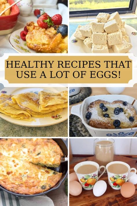 Recipes That Use A Lot Of Eggs (Plus Sneaky Ways To Use More Eggs) - The homey lif3 A Lot Of Eggs Recipe, Recipes For Lots Of Eggs, Lots Of Eggs To Use, What To Do With Too Many Eggs, What To Make With Lots Of Eggs, Recipe That Uses Lots Of Eggs, Using Up Eggs, Desserts To Use Up Eggs, Use Up Eggs Recipes