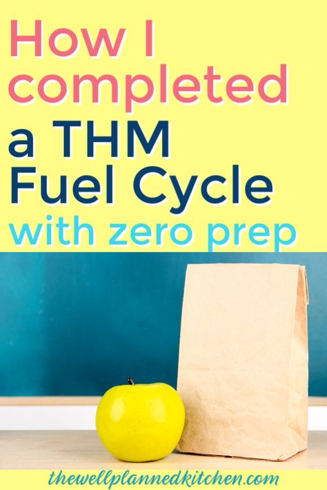 Thm Deep S Snacks, Thm Fuel Cycle Meal Plan, Thm Fuel Pull Meals, Thm Fp Snacks, Thm Fuel Cycle, Thm Deep S, Trim Healthy Mama Meal Plan, Thm Fuel Pull, Greek Yogurt Snacks