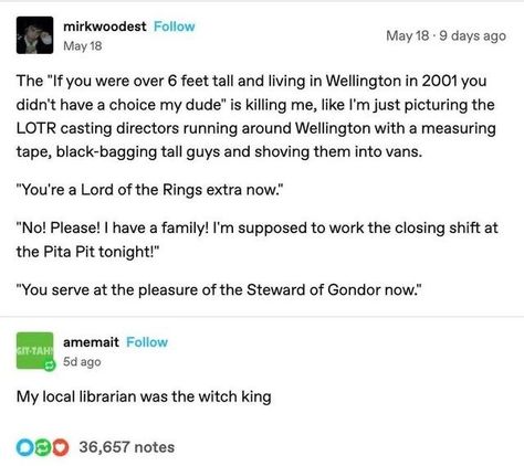 Lotr Funny, Good Lord, Resting Place, Jrr Tolkien, Text Posts, May 31, Middle Earth, The Rings, Tumblr Funny